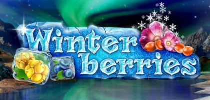 Winterberries